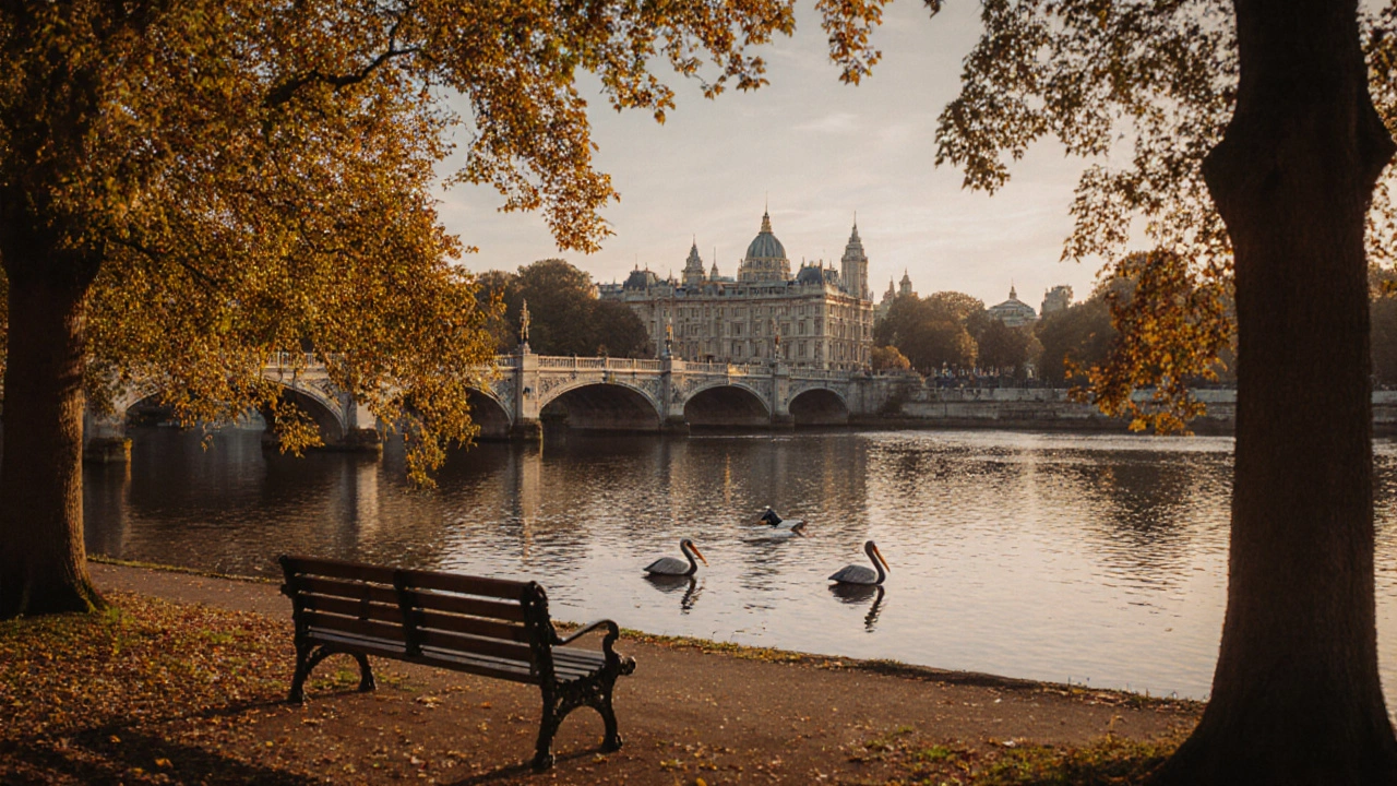 St. James’s Park in autumn with pelicans on the lake and Buckingham Palace in the distance.