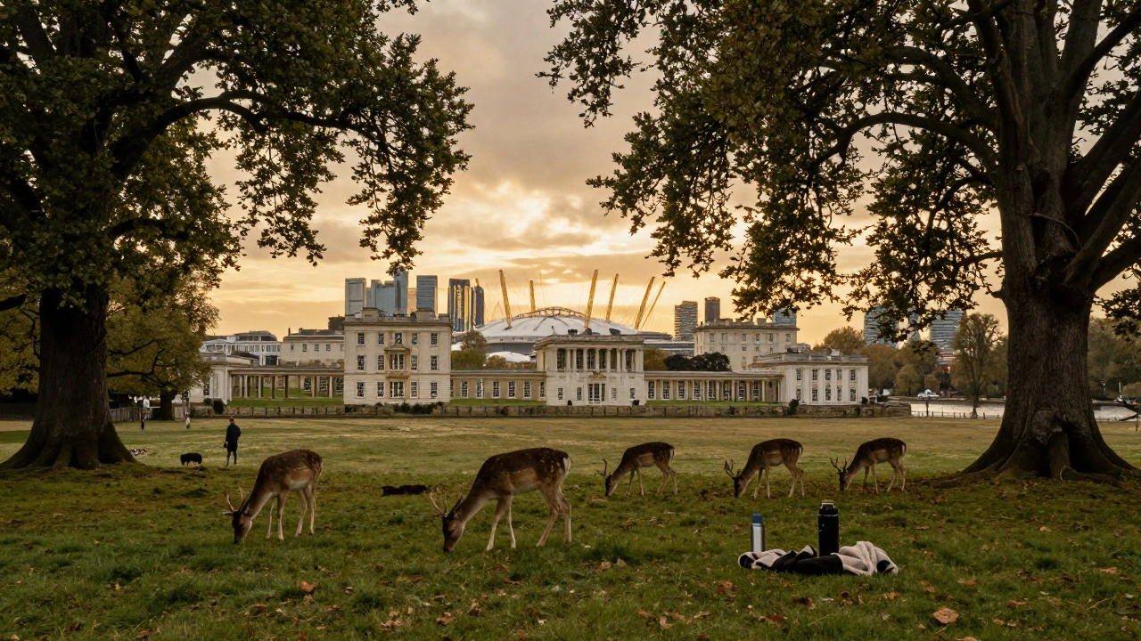 Sunset view from Greenwich Park with deer grazing and the O2 Arena in the distance.